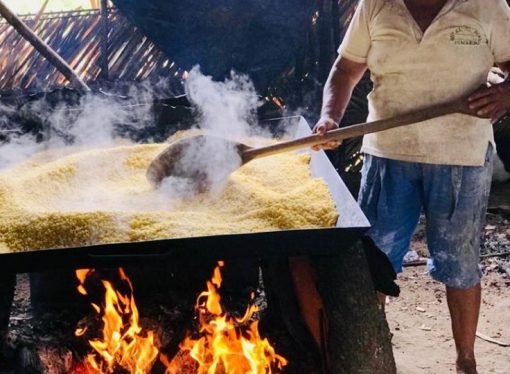 Indígenas reclaman 280.000 hectáreas en el Vichada