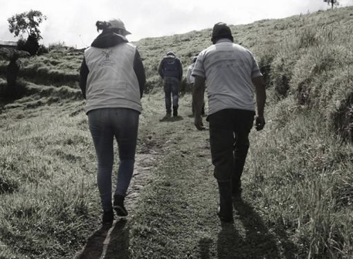 Desaparecidos 4 integrantes del proceso de restitución de tierras en Mesetas, Meta