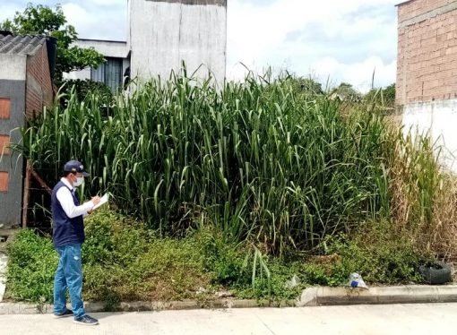 Controles a ‘lotes de engorde’ en Yopal