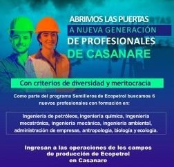 Ecopetrol ofrece trabajo a 6 jóvenes profesionales en sus operaciones en Casanare