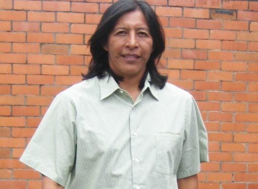 CRÓNICA DE GARDEAZÁBAL, PIÑACUÉ CANDIDATO A PRESIDENTE