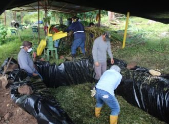 Familias de Yopal en alianza con Ecopetrol protegen cuencas de los ríos Cravo Sur y Charte