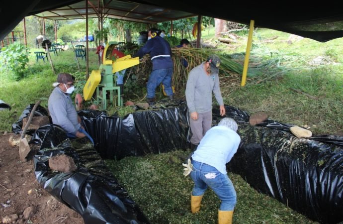 Familias de Yopal en alianza con Ecopetrol protegen cuencas de los ríos Cravo Sur y Charte