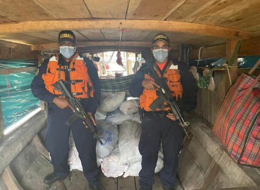 Incautada más de una tonelada de pescado no apto para el consumo humano