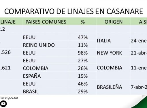 Cepa Brasileña del virus Sars – Cov – 2, llegó a Casanare