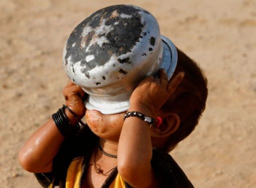 Enviadas a la basura, 2.250 millones de toneladas de alimentos