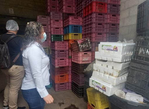 Cierran supermercado el exito en centro de Yopal por presencia de ratas en