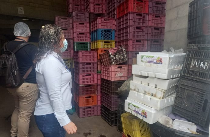 Cierran supermercado el exito en centro de Yopal por presencia de ratas en