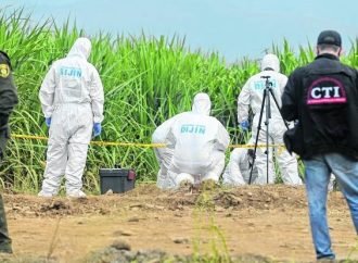 Fueron hallados 4 cuerpos sin vida en mesetas, meta