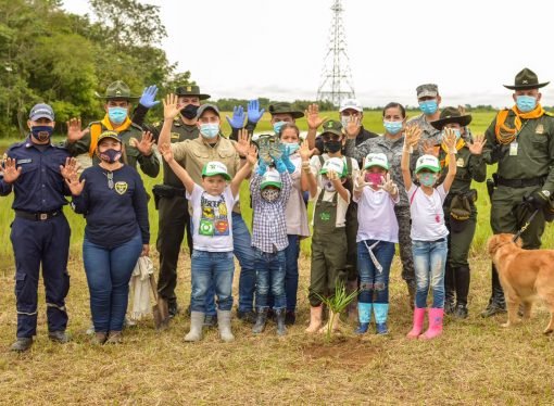 Histórica liberación de fauna de Cormacarena le regresó 2.000 animales a la naturaleza