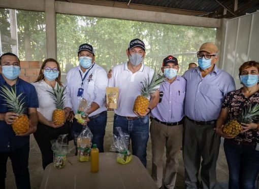 Gobernador anuncia más de $1700 millones para planta transformadora de piña en Tauramena