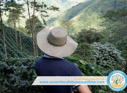 El Acuerdo del Café