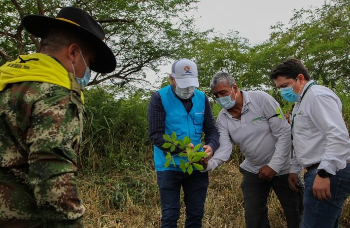 Ecopetrol entregó a Corporinoquia 30 mil árboles a través de la iniciativa “Sembrar Nos Une”
