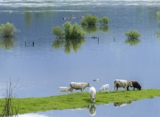 ¡El planeta se sigue calentando! Alarmante reporte sobre el cambio climático