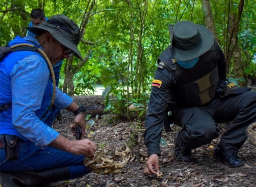 Corporinoquia atiende llamado de la comunidad por sacrificio de fauna silvestre