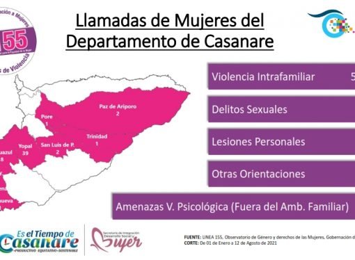 56 casos de violencia intrafamiliar ha registrado el observatorio de género en Casanare