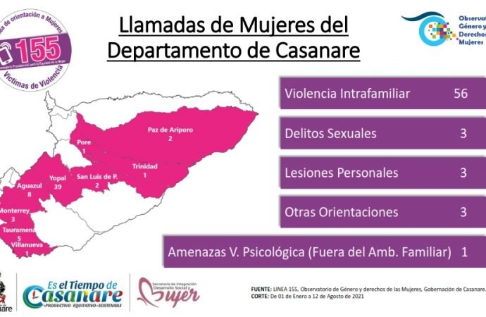 56 casos de violencia intrafamiliar ha registrado el observatorio de género en Casanare