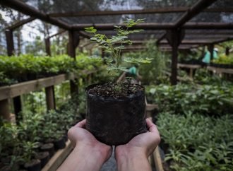 El 12 de octubre Colombia participará en La Gran Sembratón