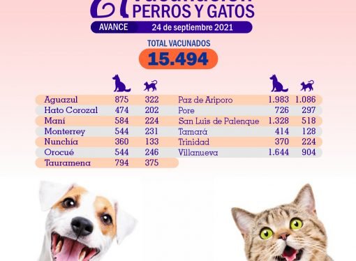 Cerca de 15.500 animales han sido vacunados contra la rabia