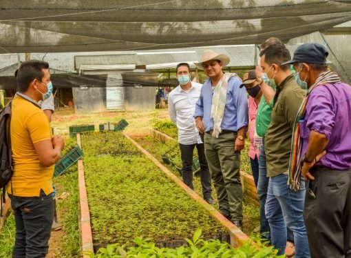 Con la siembra de 30 mil árboles en un solo día, Cormacarena rompió récord a nivel nacional