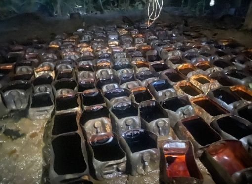 DESTRUIDOS 20 LABORATORIOS PARA EL PROCESAMIENTO DE PASTA BASE DE COCA EN EL SUR DEL PAÍS