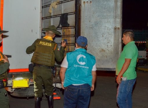 Cormacarena avanza en el control al tráfico ilegal de madera en el Meta
