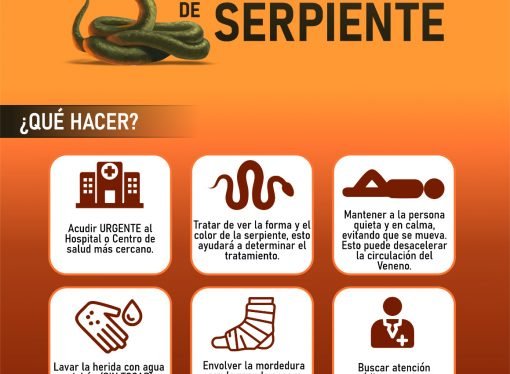 secretaría de Salud Departamental alerta a la comunidad por aumento de accidentes ofídicos