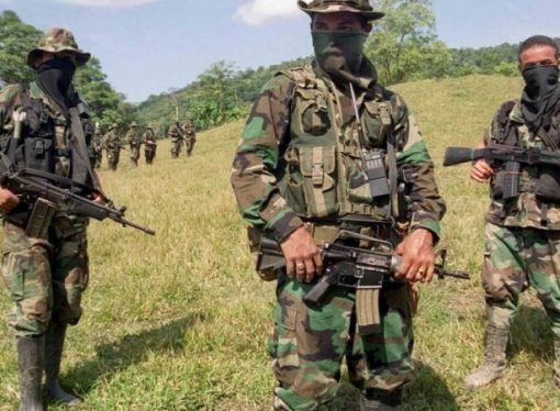 Clan del Golfo tiene alianzas con cinco mafias en el mundo