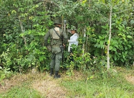 Compensarán a campesinos víctimas de la violencia en Cubarral, Meta