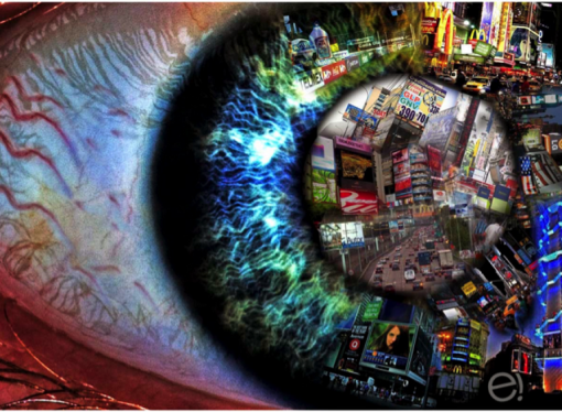 CRÓNICA DE GARDEAZÁBAL, LA CULPA ES DE LA VACA