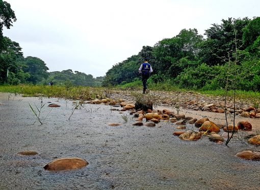 Aumentan las condiciones que favorecen la evolución hacia un fenómeno de La Niña