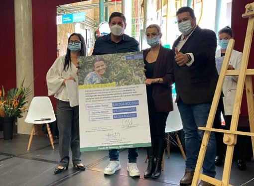 $19 mil millones  para fortalcer el sector ganadero en Casanare