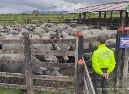 Extinción de dominio propiedades de los comandantes del Clan del Golfo