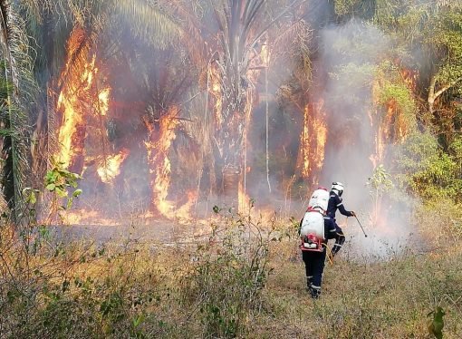 ALERTA ROJA en más de 10 municipios de Casanare
