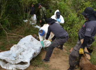 Fiscalía han encontrado 27 cuerpos en Arauca