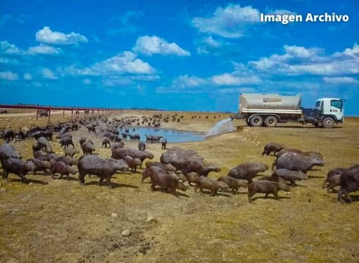 ?? ?????Ó ?? ???? ?? ???????????? ??? ????????? ???? ?? ??? ?? ???????