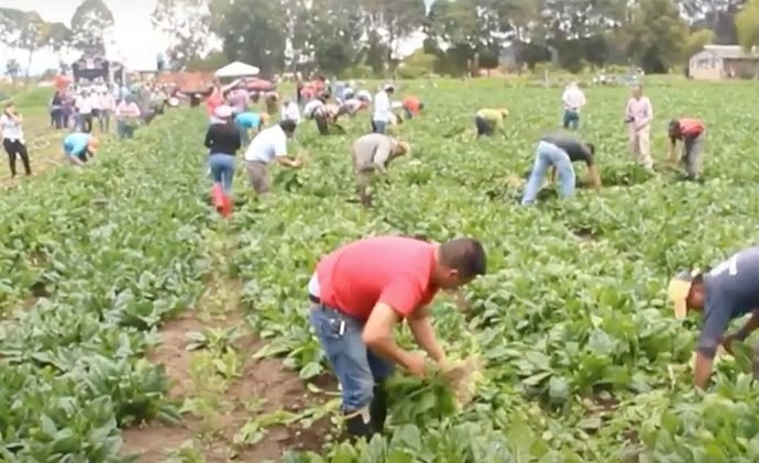 CRÓNICA DE GARDEAZÁBAL POR FIN ACABARÁN CON LOS CAMPESINOS