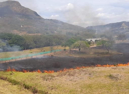 Lluvias mitigaron incendios
