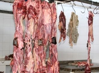 Lupa a venta de carne