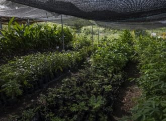 Uso de aguas residuales en el sector agrícola