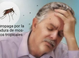 678 casos de dengue registrados este 2022 en Casanare
