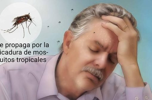 678 casos de dengue registrados este 2022 en Casanare