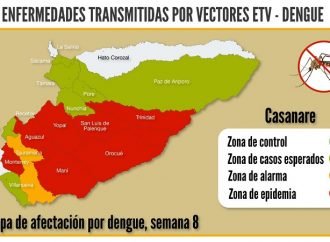 Menores de 18 años, los más afectados por dengue en Casanare