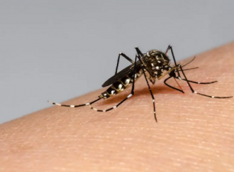 Zona de epidemia por Dengue en dos municipios