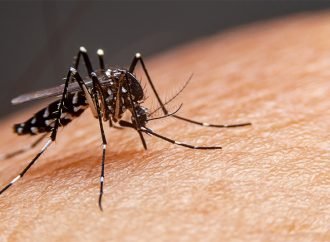 6 muertes probables por Dengue en Casanare