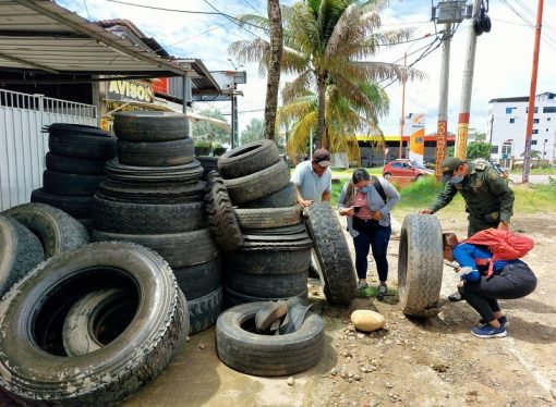 Jornada de recolección de llantas usadas