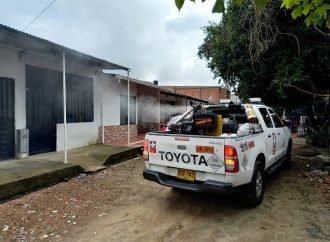 Intervenciones químicas para control de casos de dengue