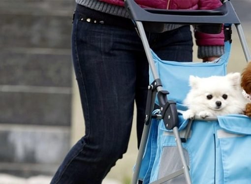 CRÓNICA DE GARDEAZÁBAL, CONDENADOS AL FUTURO