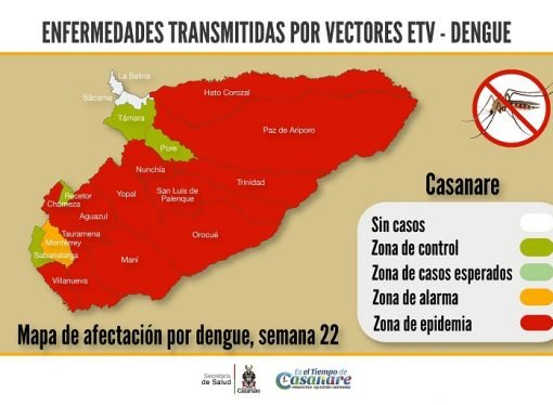 Se mantiene la epidemia de dengue en Casanare