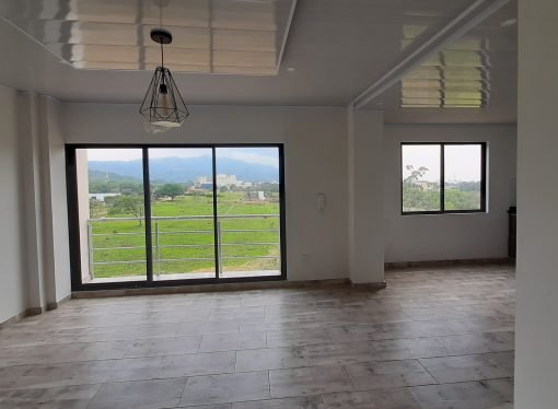 Buscando su hogar definitivo, aquí le mostramos las tendencias